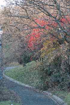 Vista otoñal del parque de St. Gellért, Budapest; Hungría