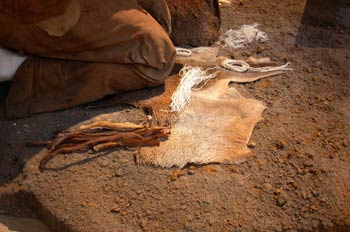 Escenografía, Lo último en  Moda