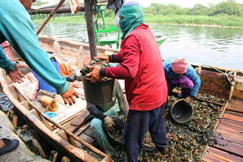 Descargando mejillones, Jakarta
