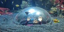 FOTOS AQUARIUM 2