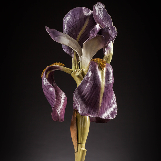 IES_SANISIDRO_MUSEO_Botanica_034