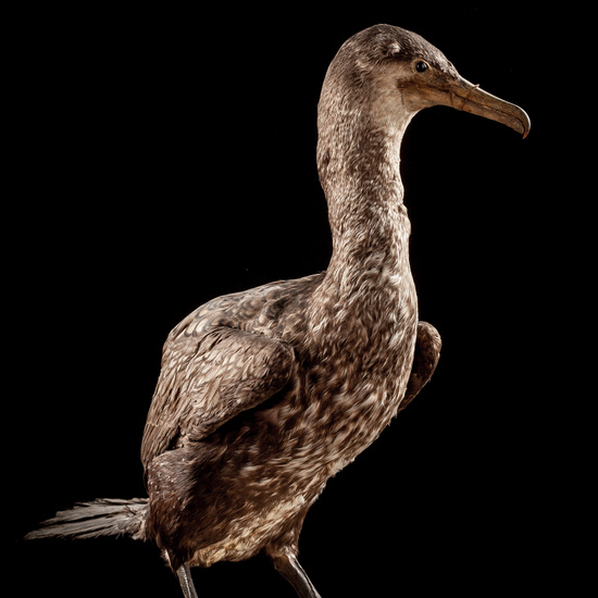 IES_SANISIDRO_BIOLOGIA_036