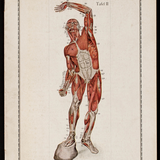 IES_CARDENALCISNEROS_CATALOGOS_107