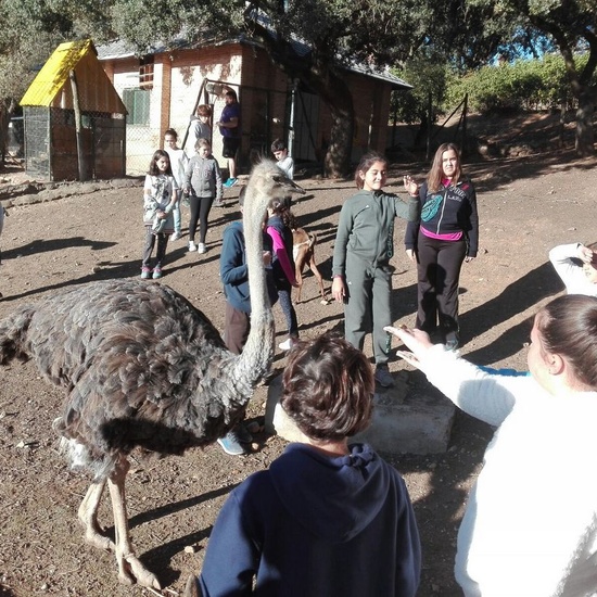 Mohernando 2017_4 48