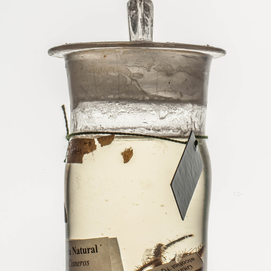 IES_CARDENALCISNEROS_CIENCIASNATURALES_019