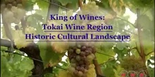 The King of Wines: The Tokai Wine Region Historic Cultural Landscape: UNESCO Culture Sector