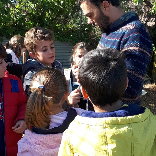 2019_11_08_4º empieza el mes de noviembre de forma muy ecológica_CEIP FDLR_Las Rozas 4