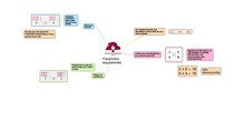 PRIMARIA 6º - MATEMÁTICAS - FRACCIONES EQUIVALENTES