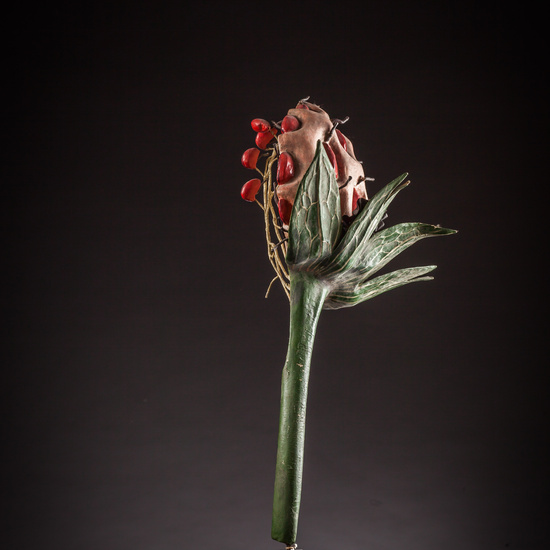 IES_ISABELLACATOLICA_BIOLOGIA_135