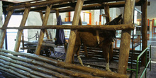 Tren interior de tracción animal, Museo de la Minería y de la In