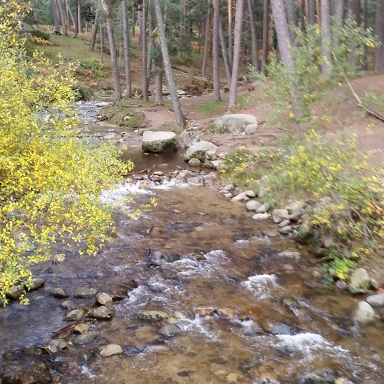 MANZANARES EL REAL 8