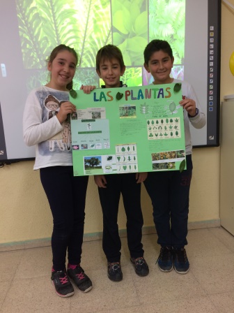 2016_12_Quinto A_Aprendizaje Cooperativo en CCNN 26