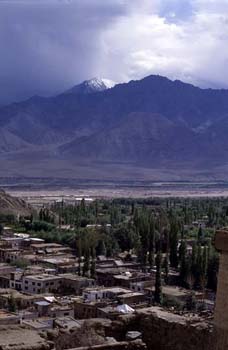 Vista de Leh desde el Palacio, Ladakh, India