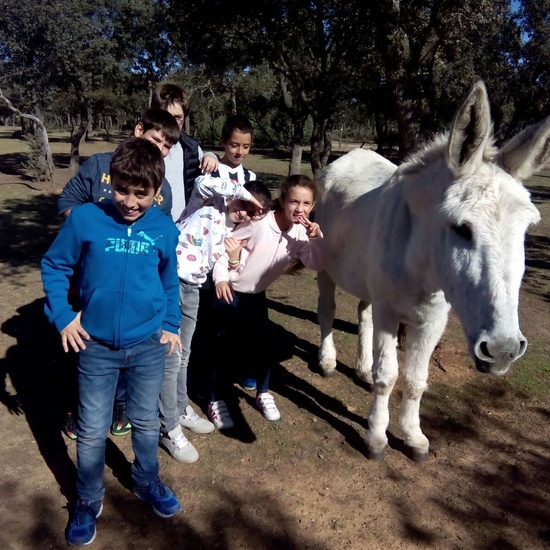 Moheranado 2017_24oct 15