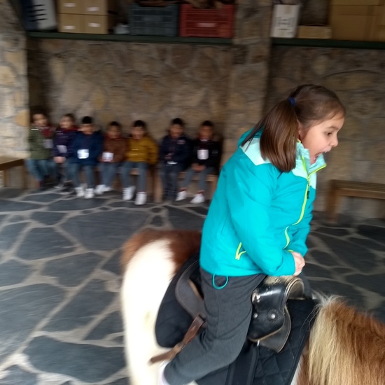 Granja de los Cuentos Infantiles II 27