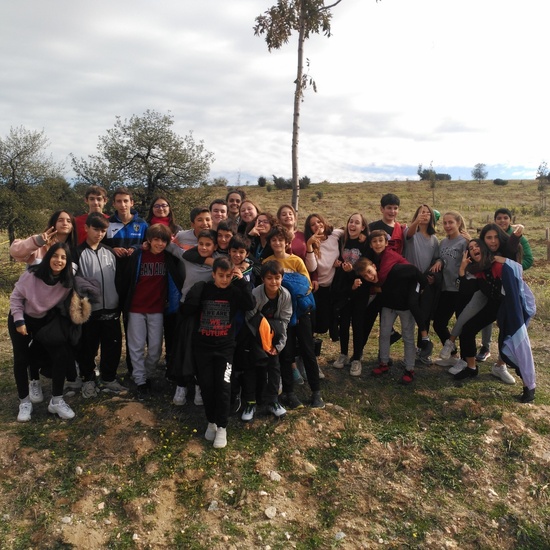 Plantación en el parque forestal de Valdebebas 2019 10