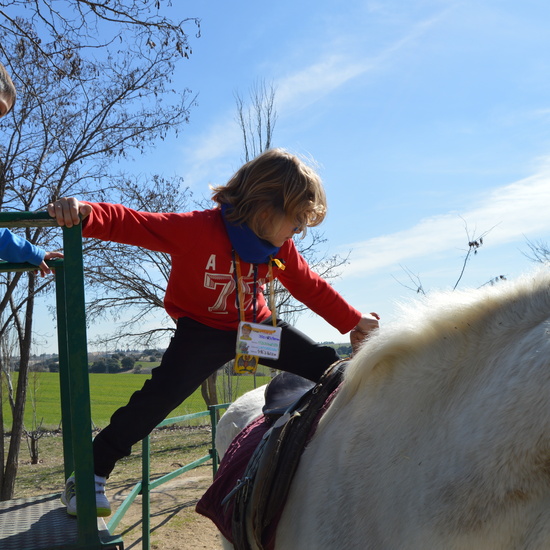 GRANJA ESCUELA ALBITANA 16