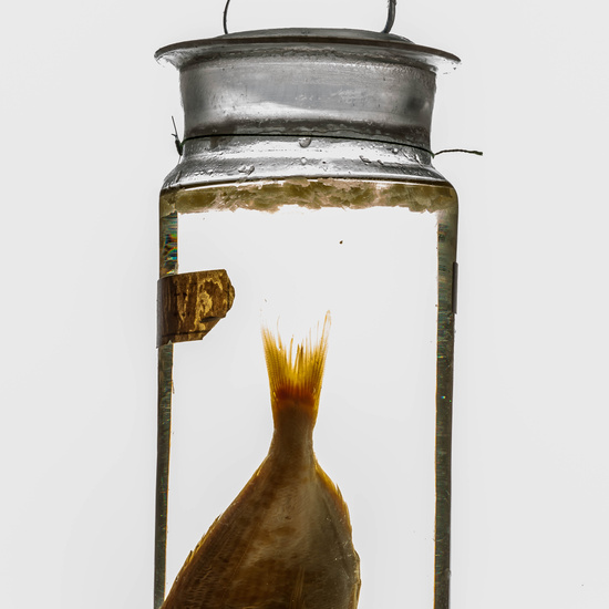 IES_CARDENALCISNEROS_CIENCIASNATURALES_389