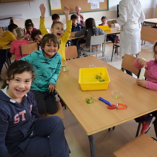 Taller de ciencias con padres 3