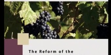 The reform of the European Wine Sector
