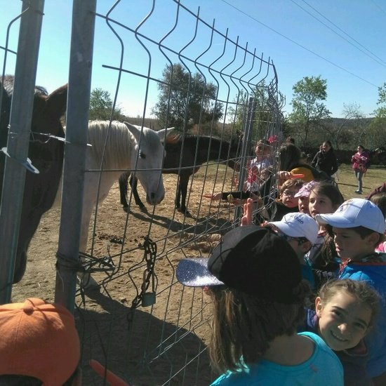 SALIDA A NUESTRO ENTORNO 4