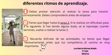 INSTRUCCIONES T5 CANVA