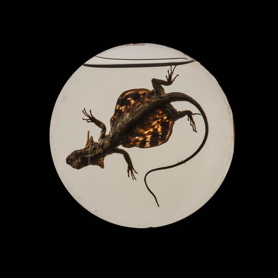 IES_CARDENALCISNEROS_CIENCIASNATURALES_321