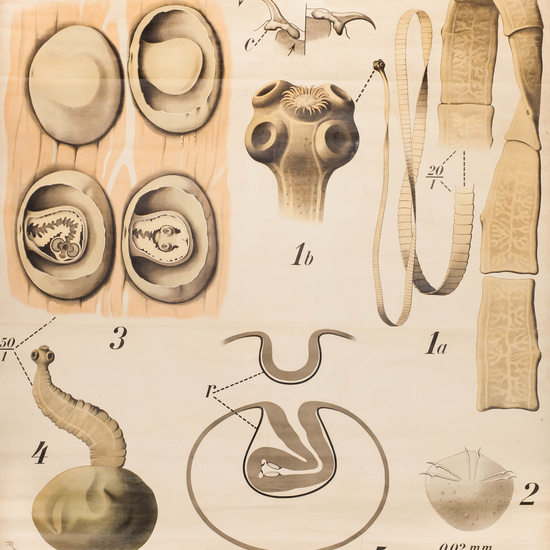 IES_SANISIDRO_LAMINAS_033