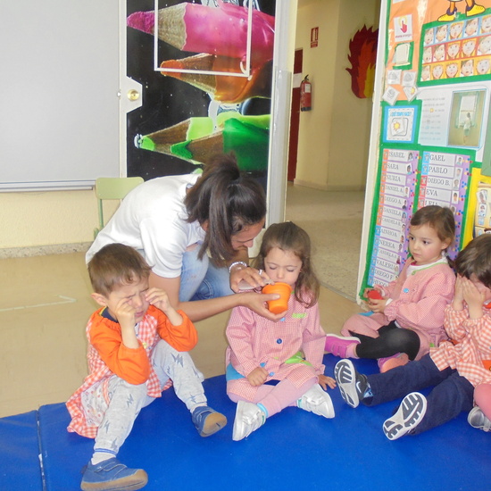 Sesión de los sentidos 7