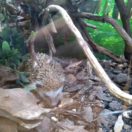 Granja de los Cuentos Infantiles I 49