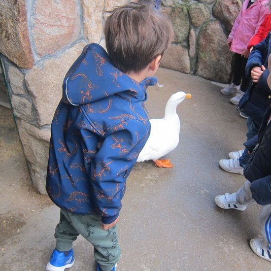 Granja Escuela Educación Infantil Curso 2017-18_2 17