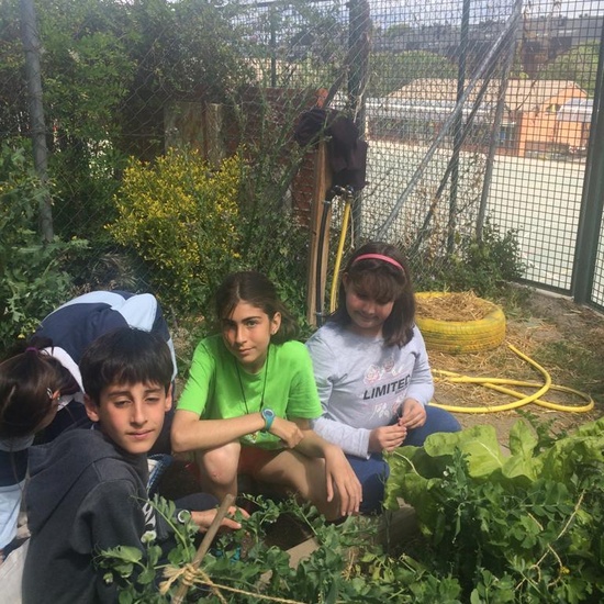 2019_05_Los alumnos de 4º en el Huerto_CEIP FDLR_Las Rozas 26