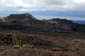 Campos de lava alrededor del Volcán Sierra negra en Isla Isabela