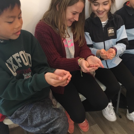 2020_02_27_3º visita Insectpark (2)_CEIP FDLR_Las Rozas 19