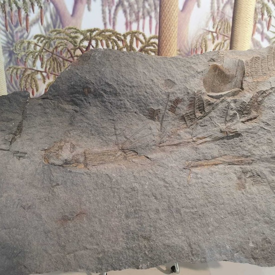 VIAJE FIN DE CURSO 2019 DÍA 4 45