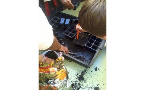 Huerto CEIP Fernando el Católico 2