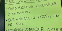 Proyecto animales en extinción 8