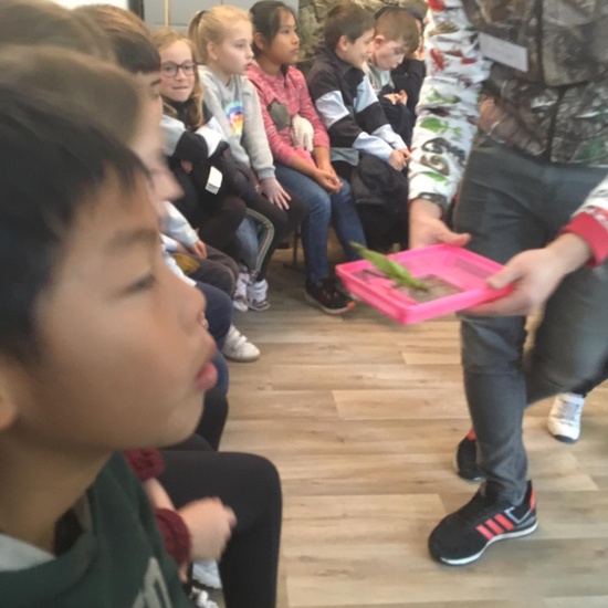 2020_02_27_3º visita Insectpark (2)_CEIP FDLR_Las Rozas 15