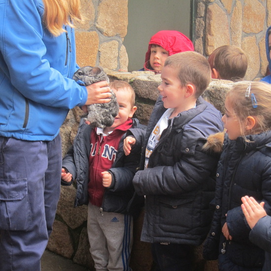 Granja Escuela Educación Infantil Curso 2017-18 31