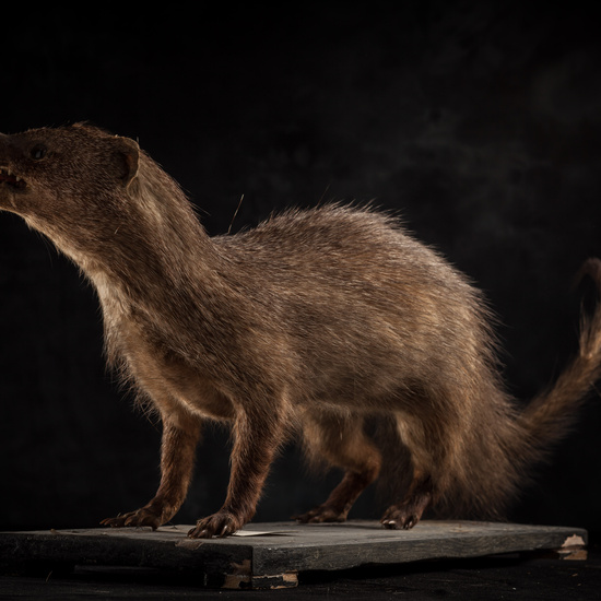 IES_SANISIDRO_BIOLOGIA_320