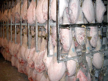 Jamón en cámara frigorífica