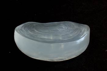 Disco Intervertebral