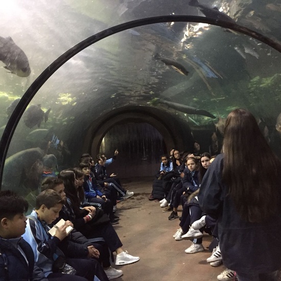 Faunia: taller y visita guiada 26