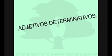 PRIMARIA 5º	LENGUA CASTELLANA Y LITERATURA	 ADJETIVOS DETERMINATIVOS