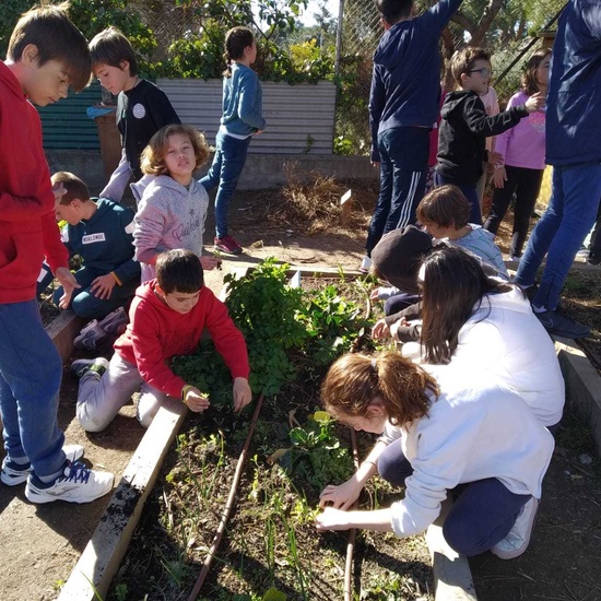 2019_02_24_Quinto termina febrero con las actividades de huerto_CEIP FDLR_Las Rozas_2019 21