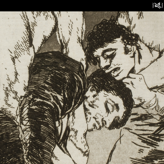 Los Caprichos en detalles apaisados 20