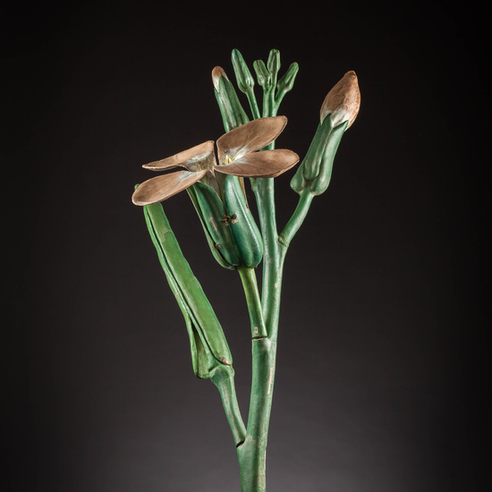 IES_SANISIDRO_MUSEO_Botanica_042