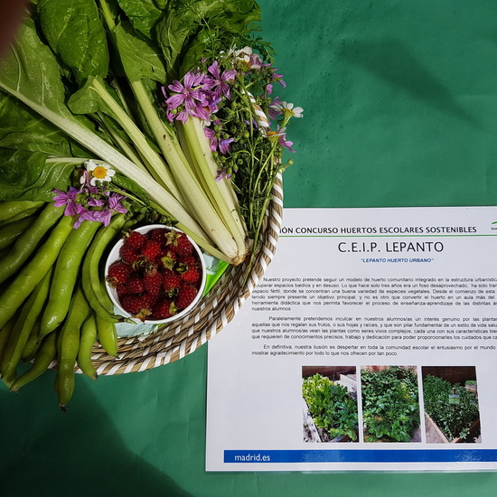 GALERÍA LEPANTO 6 5