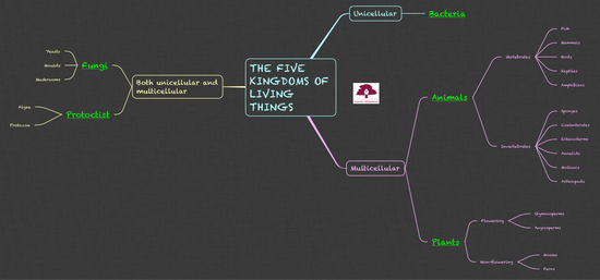 NS_THE RIVE KINGDOMS OF LIVING THINGS_5