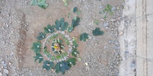Landart 11/10/2023